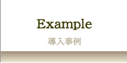 ЃGf[NXRT^cEXAMPLE