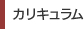 カリキュラム