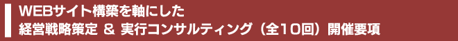 WEBサイト構築を軸にした経営戦略策定＆実行コンサルティング