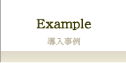 ЃGf[NXRT^cEXAMPLE